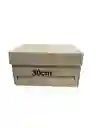 Caja De Carton Micro Corrugado 30x20x15cm (z)