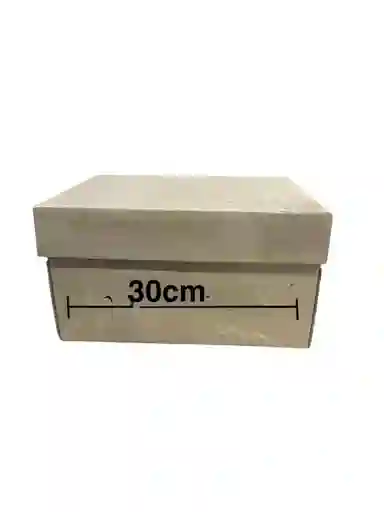 Caja De Carton Micro Corrugado 30x20x15cm (z)