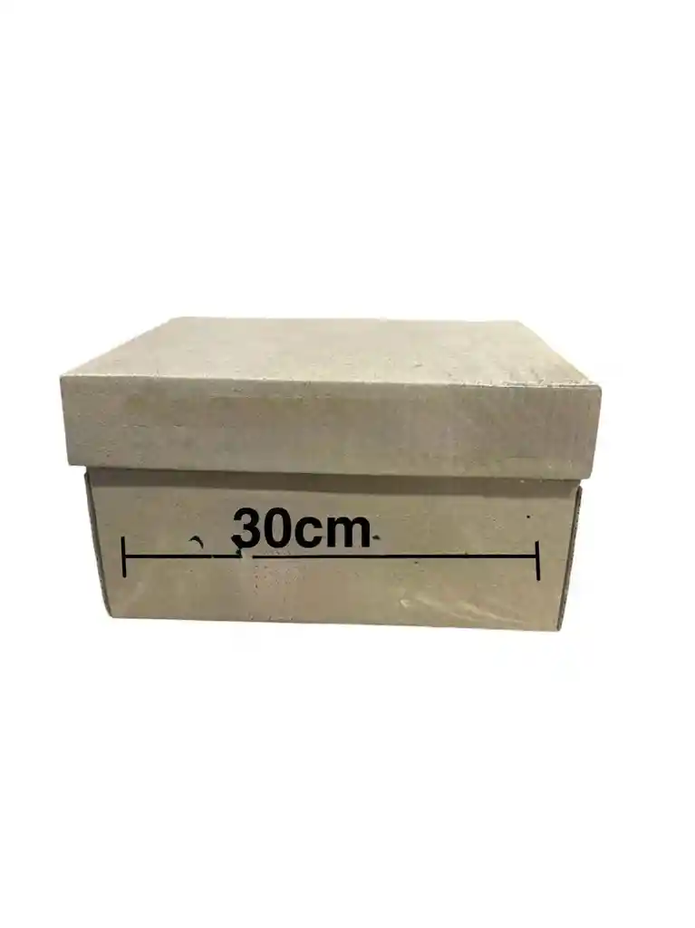 Caja De Carton Micro Corrugado 30x20x15cm (z)