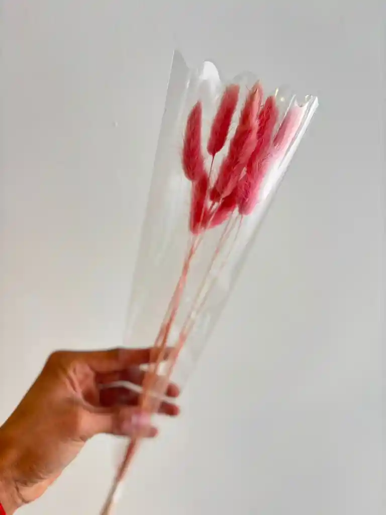Hierba O Cola De Raton Flor De Lagurus Rosada