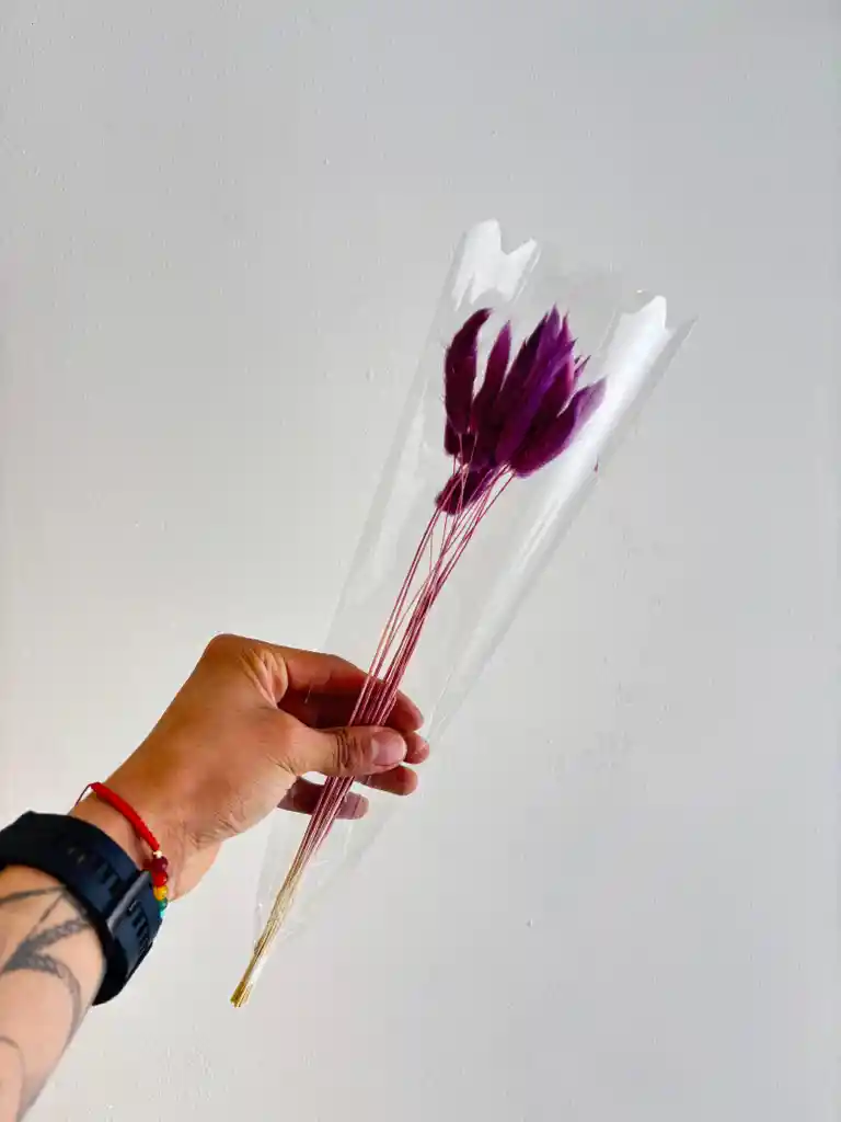 Hierba O Cola De Raton Flor De Lagurus Morado