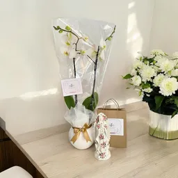 Condolencias Orquideas Virgen 22