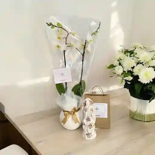 Condolencias Orquideas Virgen 22