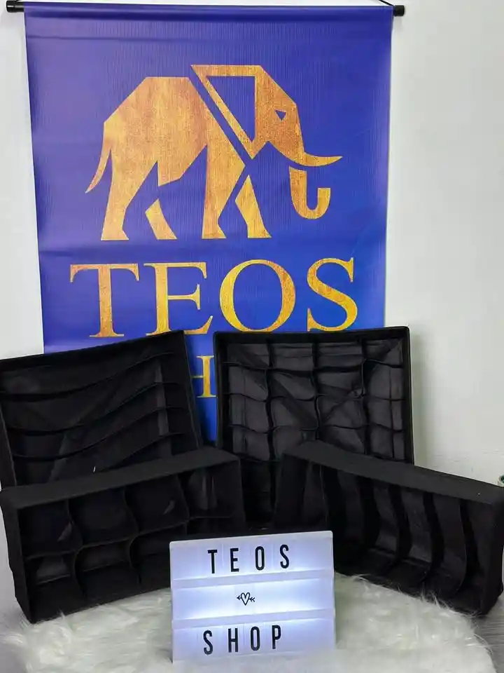 Organizador De Ropa Interior Por 3