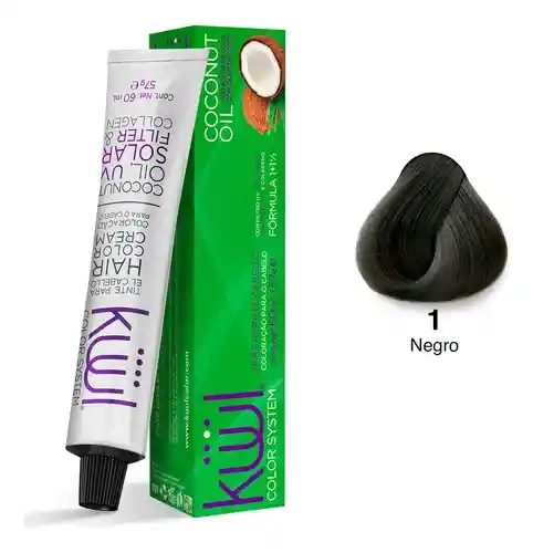 Kuul Tinte Negro 1