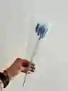 Hierba O Cola De Raton Flor De Lagurus Celeste
