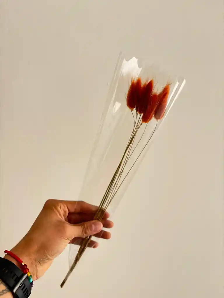 Hierba O Cola De Raton Flor De Lagurus Naranja