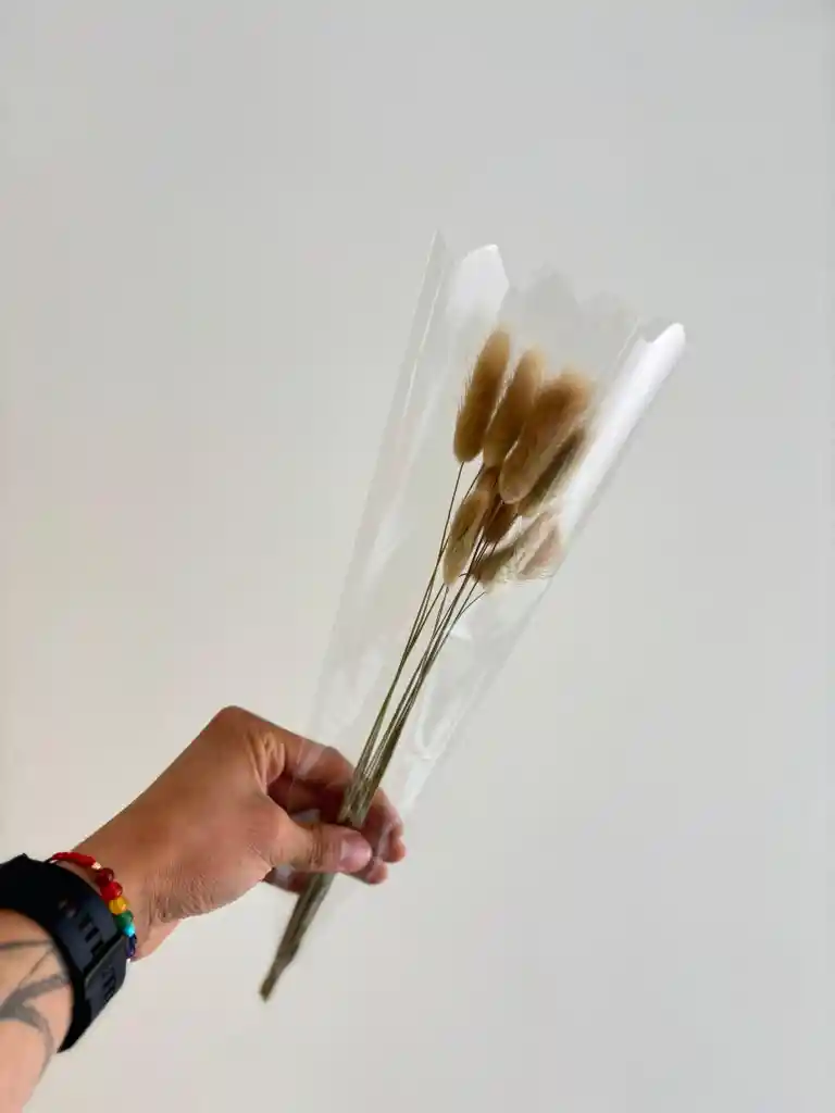 Hierba O Cola De Raton Flor De Lagurus Beige