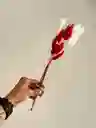 Hierba O Cola De Raton Flor De Lagurus Rojo