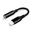 Adaptador Lightning A Auxiliar Ch