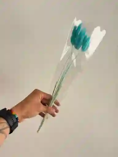 Hierba O Cola De Raton Flor De Lagurus Turquesa