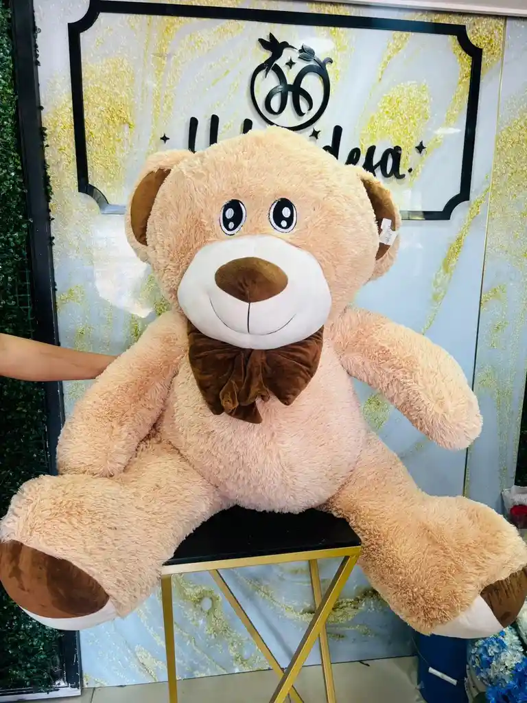 Oso De Peluche Beich Y Cafe
