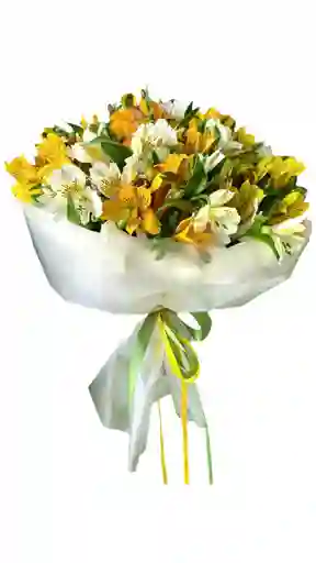 Flores De Astromelias Blancas Y Amarillas