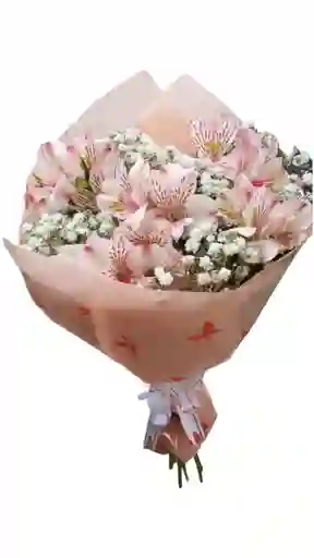 Flores De Astromelias Rosadas