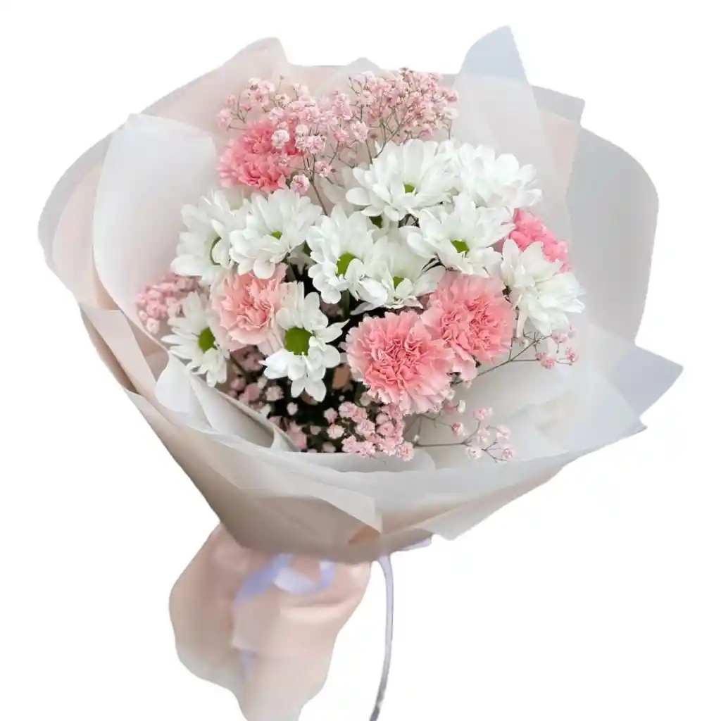 Ramo Floral De Margaritas Y Claveles