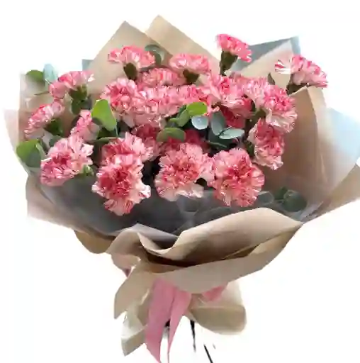 Flores De Claveles Rosados