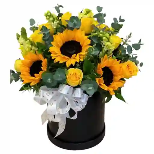 Flores De Girasoles Y Rosas Amarillas En Caja