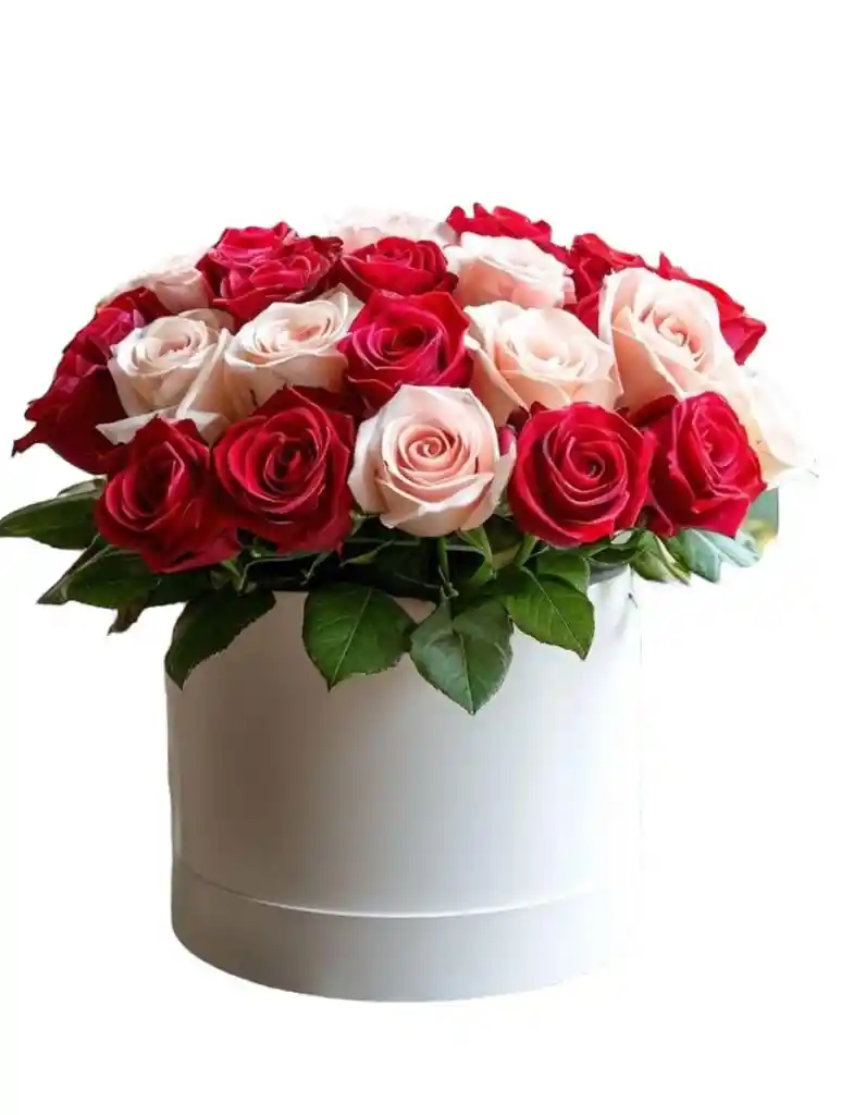 Flores De Rosas Rosadas Y Rojas En Caja