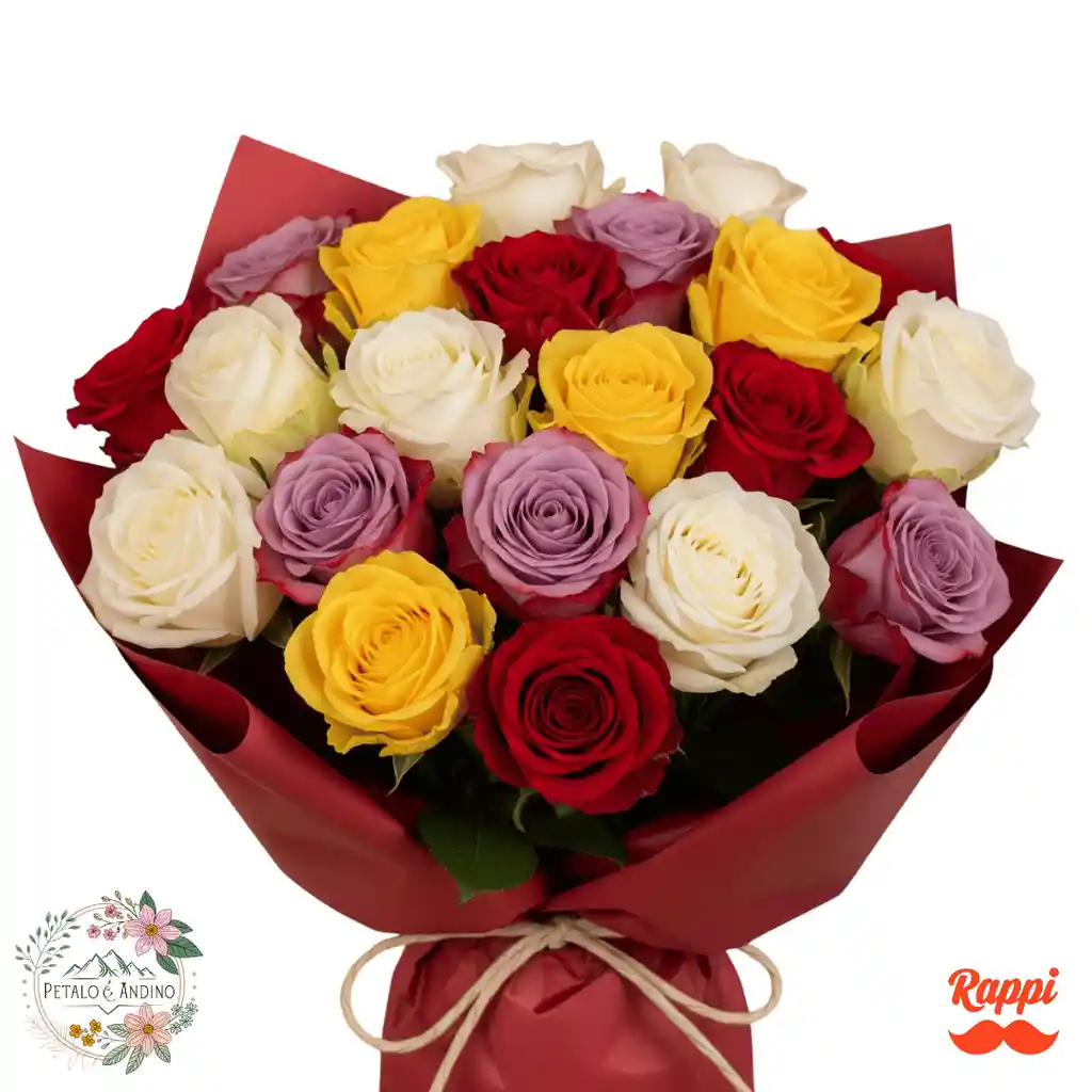 Rosas Fiesta De Colores