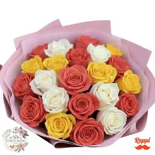 Rosas Atardecer Tropical