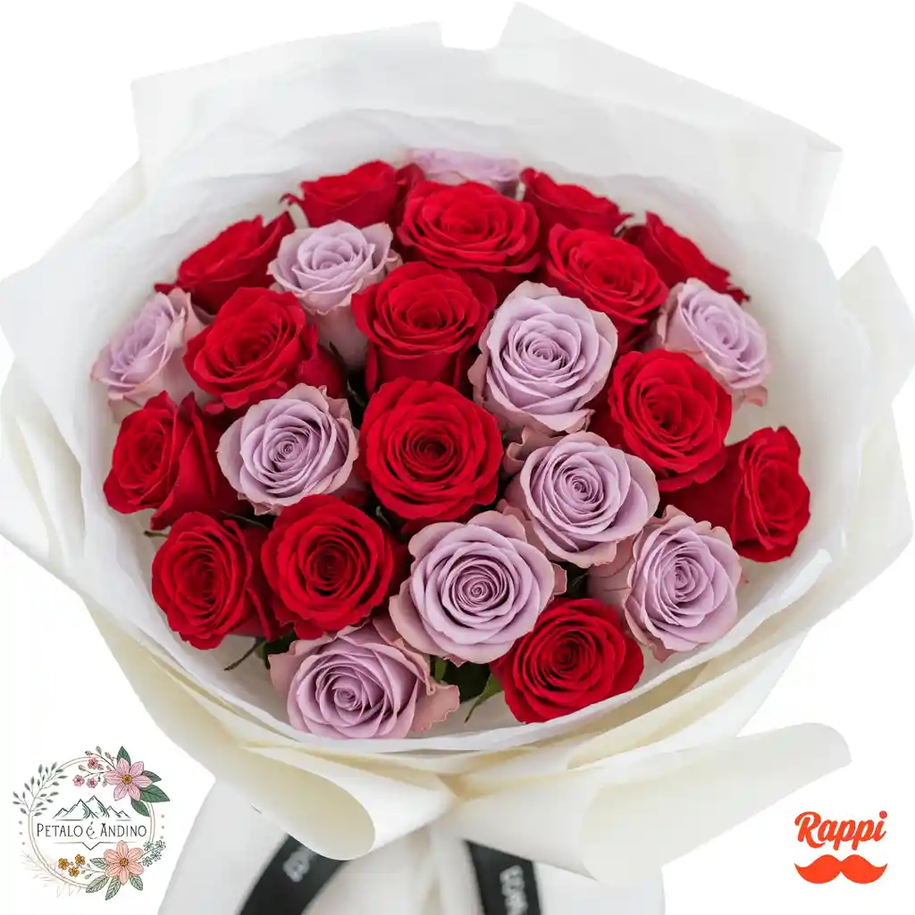 Rosas Encanto Dual