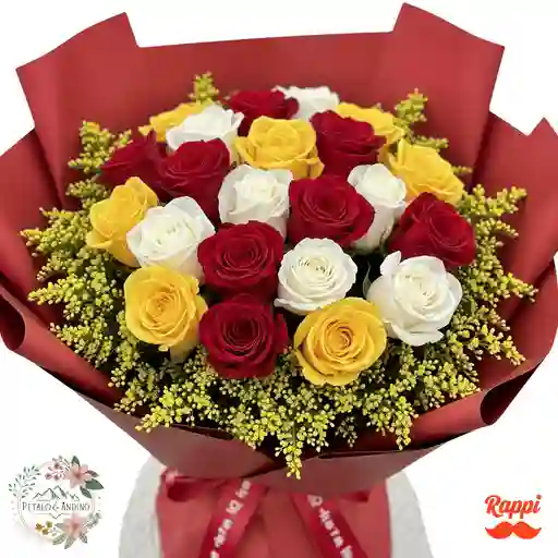Rosas Viva La Pasión