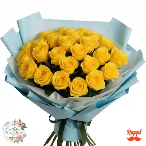 Rosas Amarillas Alegría Radiante X24