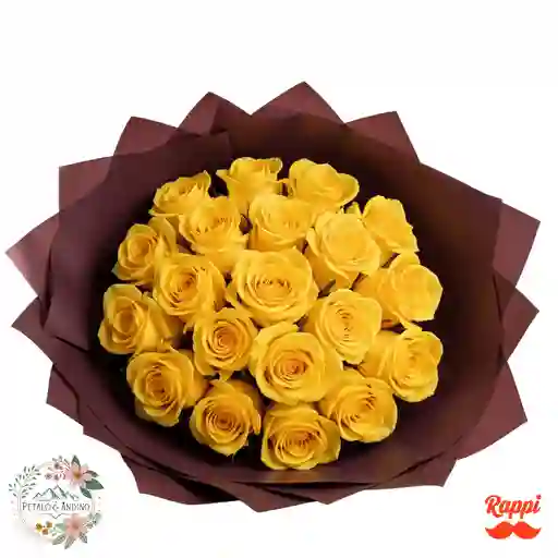 Rosas Sol Púrpura X18
