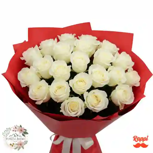 Rosas Blancas Amanecer 24