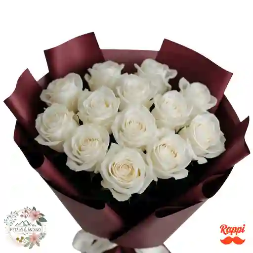 Rosas Pureza Borgoña X12
