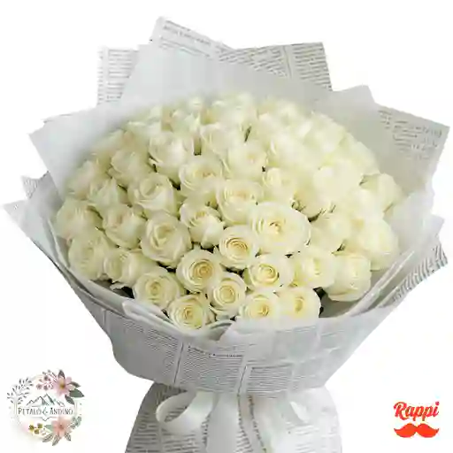 Rosas Noticia Pura X50