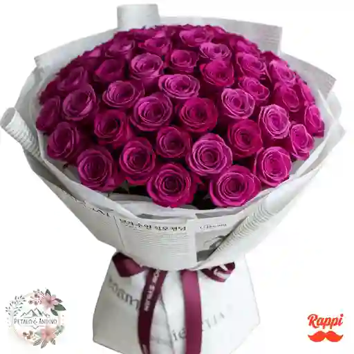 Rosas Fucsia X50
