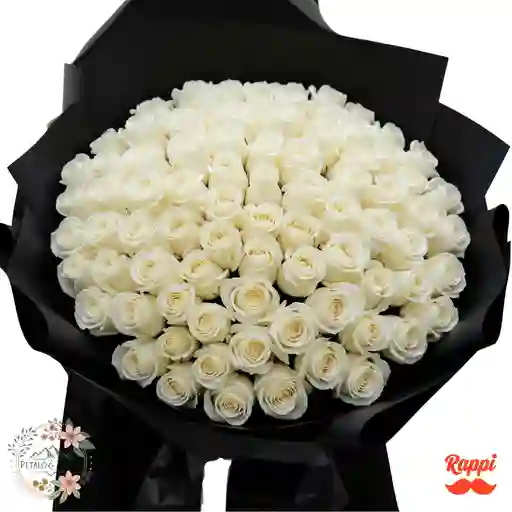 Rosas Pureza