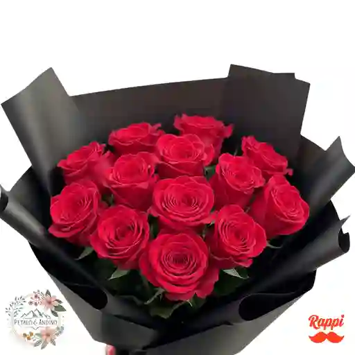 Rosas Elegancia Escarlata X12