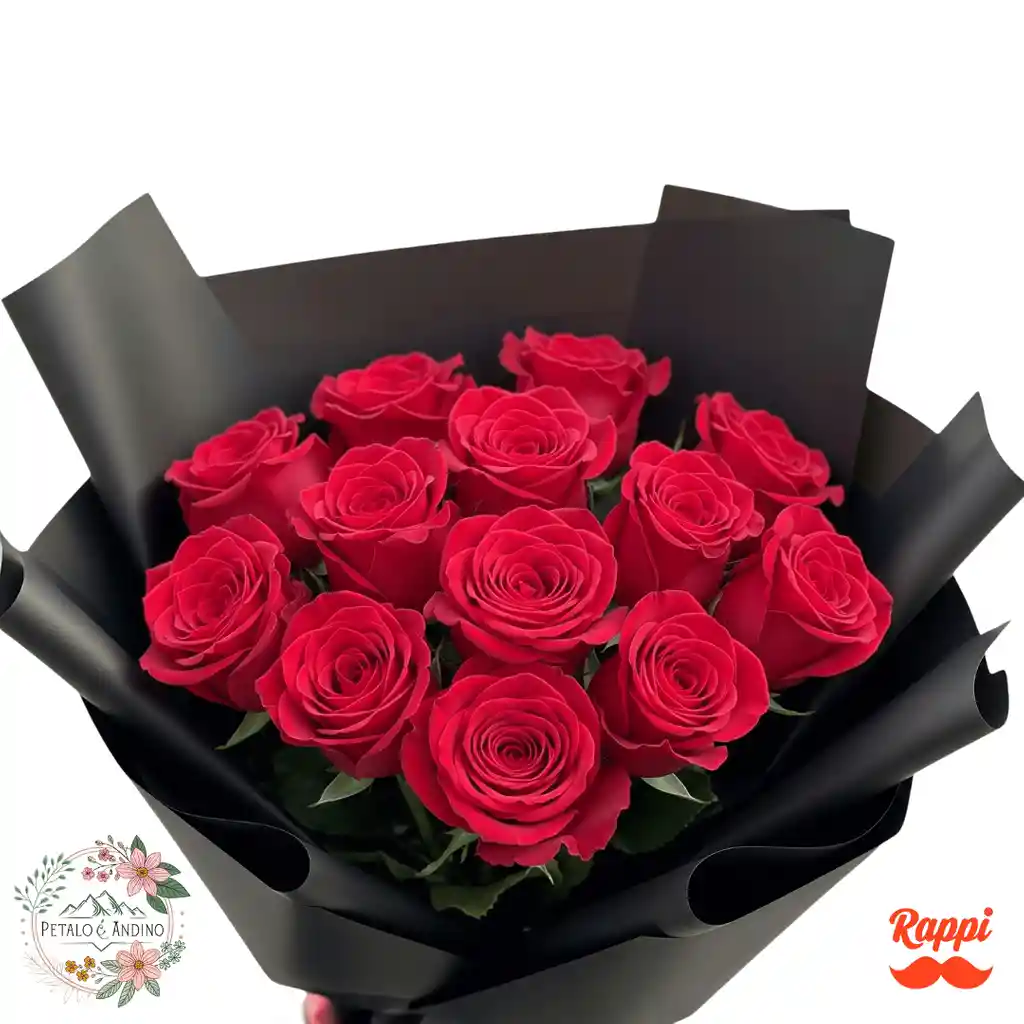 Rosas Elegancia Escarlata X12