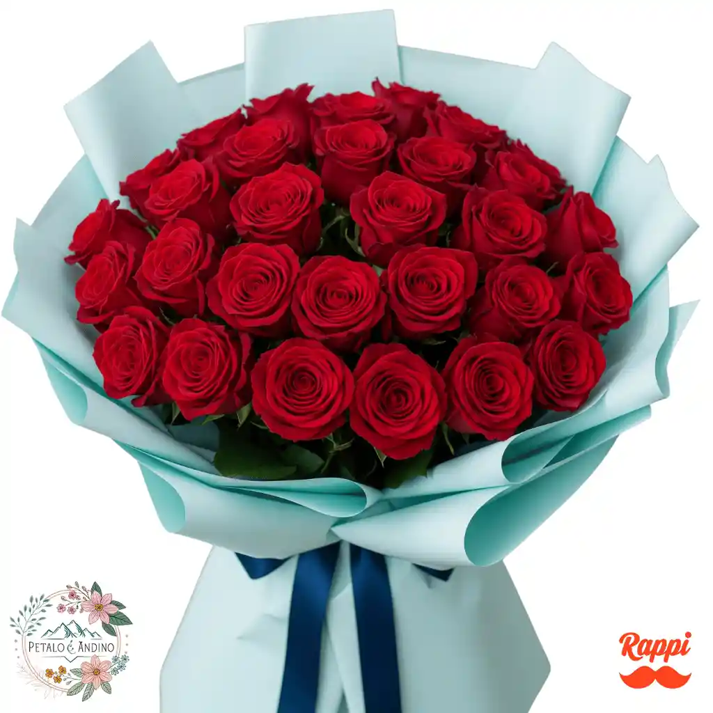 Rosas Pasión Celestial X24