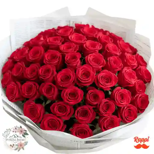Rosas Pasión Eterna X50