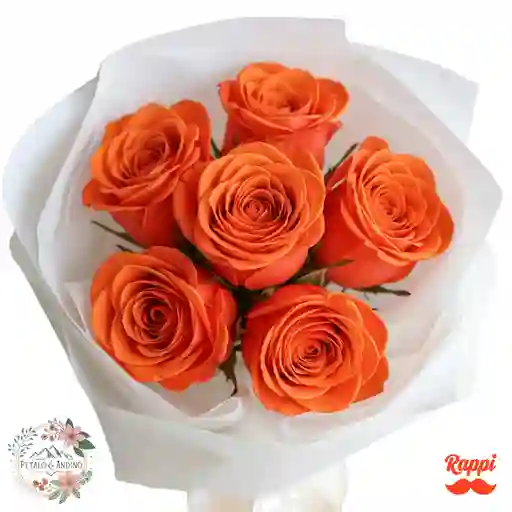 Rosas Sol Radiante X12