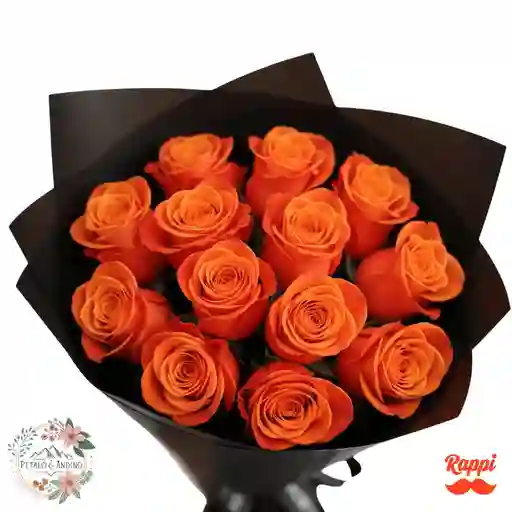 Rosas Naranja Misteriosa X12