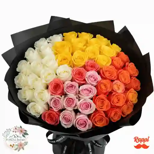 Rosas Elegancia Contrastante X72