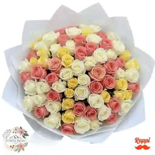 Rosas Jardín De Ensueño X100
