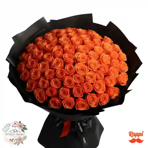 Rosas Fuego Y Elegancia X100