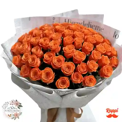 Rosas Noticia Naranja X50