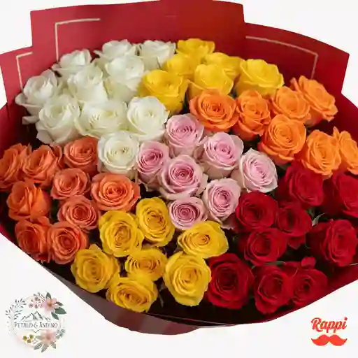 Rosas Fiesta De Colores X50