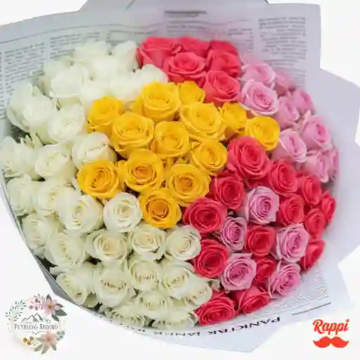 Rosas Noticia De Amor X100