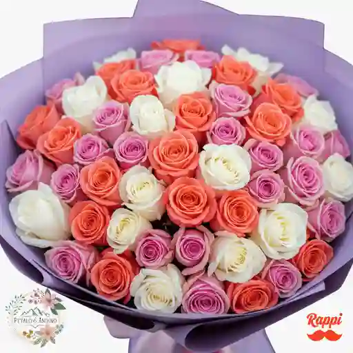 Rosas Encanto Pastel X50