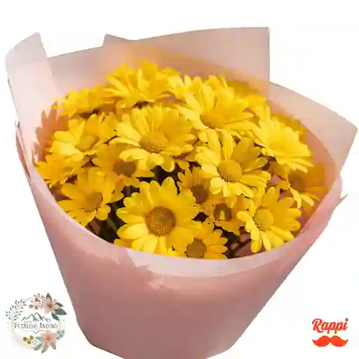 Margaritas Amarillas