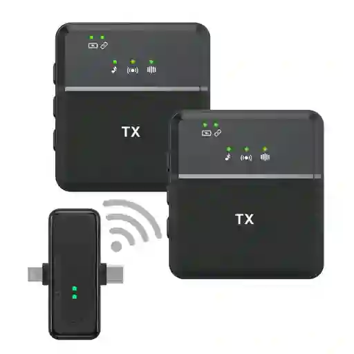 2 Microfonos Inalambricos Profesional Sx-31