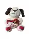 Peluche De Perrito Con Corazon