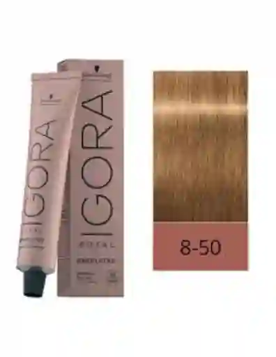 Igora Royal Tinte 8-50 Rubio Claro Dorado Natural
